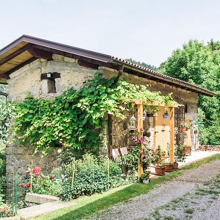 Pensjonat Pocitniska Hisa Pologar Tolmin Zewnętrze zdjęcie