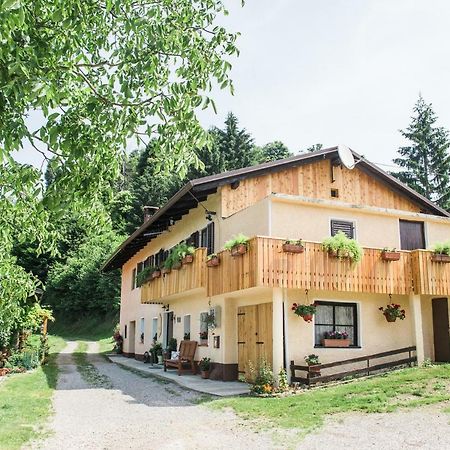 Pensjonat Pocitniska Hisa Pologar Tolmin Zewnętrze zdjęcie