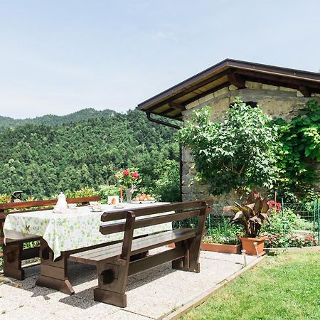 Pensjonat Pocitniska Hisa Pologar Tolmin Zewnętrze zdjęcie