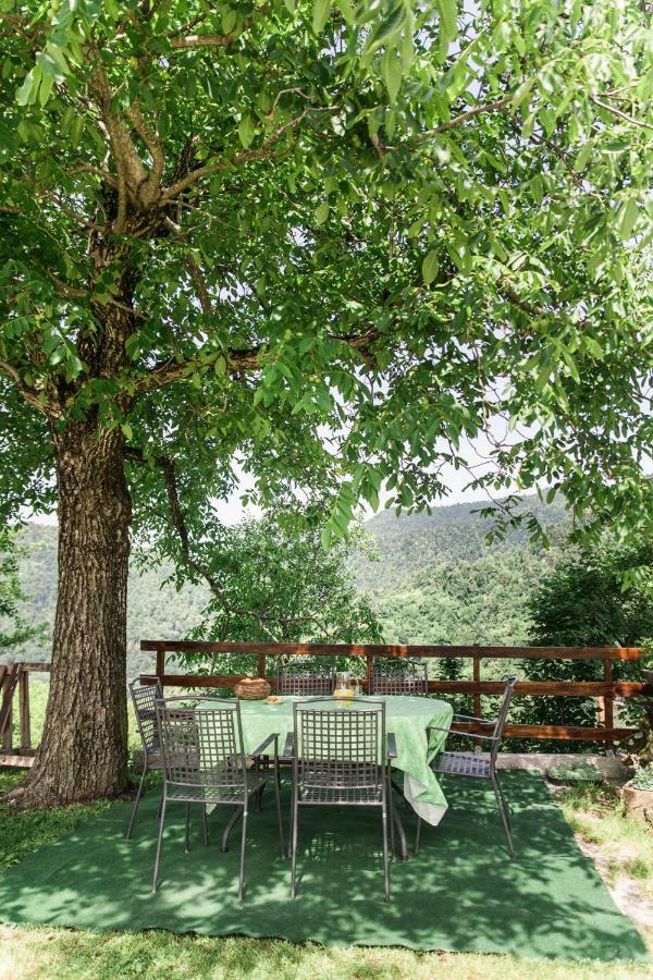 Pensjonat Pocitniska Hisa Pologar Tolmin Zewnętrze zdjęcie