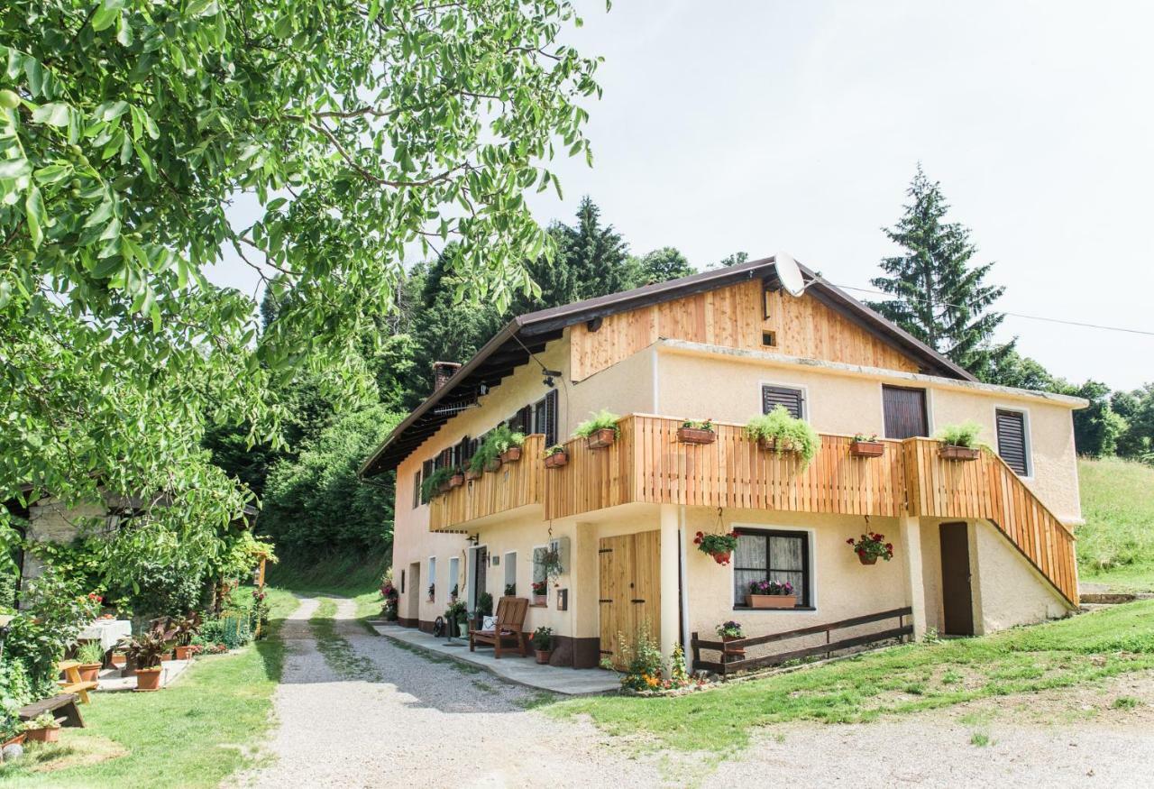 Pensjonat Pocitniska Hisa Pologar Tolmin Zewnętrze zdjęcie